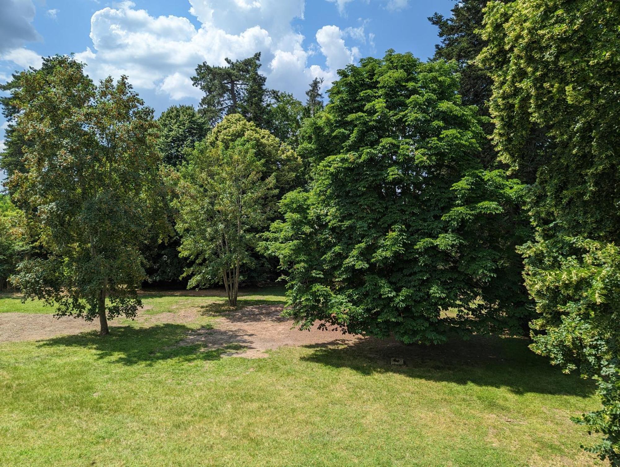 Domaine Du Faure Bed and Breakfast Chadurie Buitenkant foto